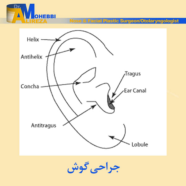 جراحی گوش - دکتر محبی